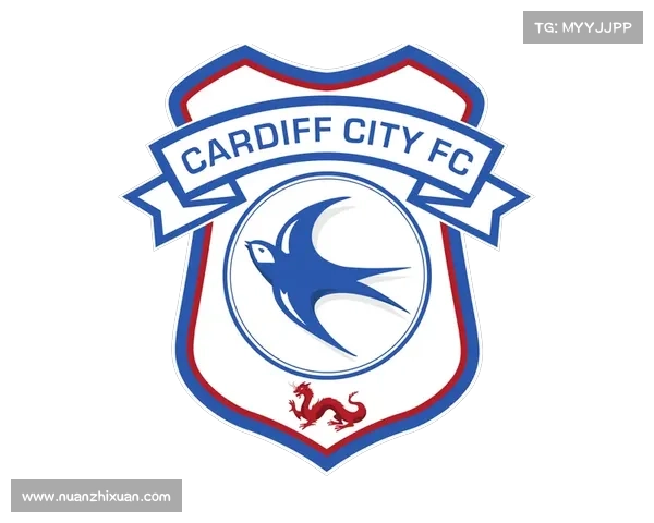 加的夫城足球队联赛历程与历史背景全面分析