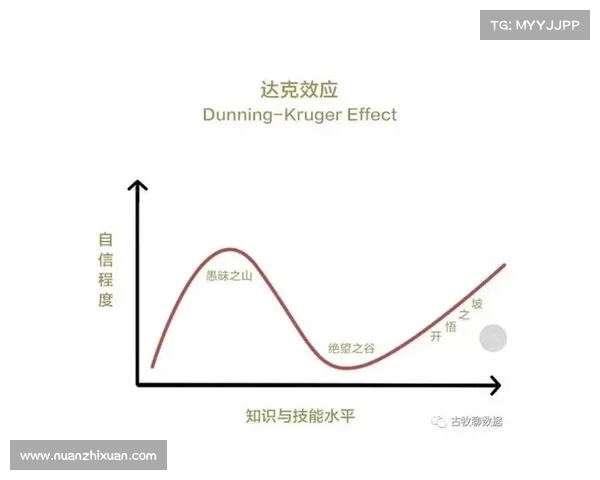 德黑兰独立队崛起的六大关键策略解析及其成功之道 德黑兰独立队崛起的六大关键策略解析及其成功之道